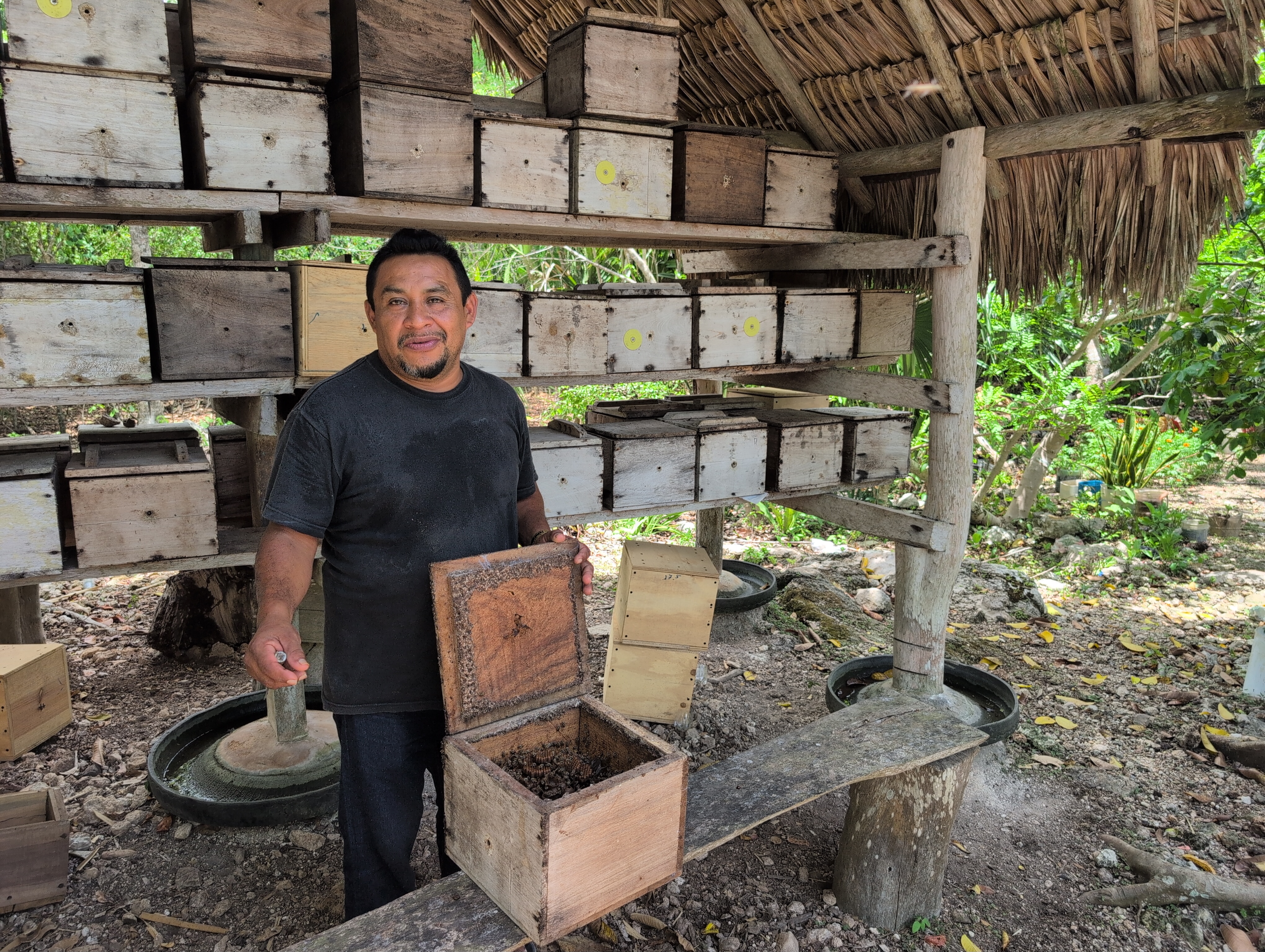 Local Maya beekeeper cultural tour Tulum