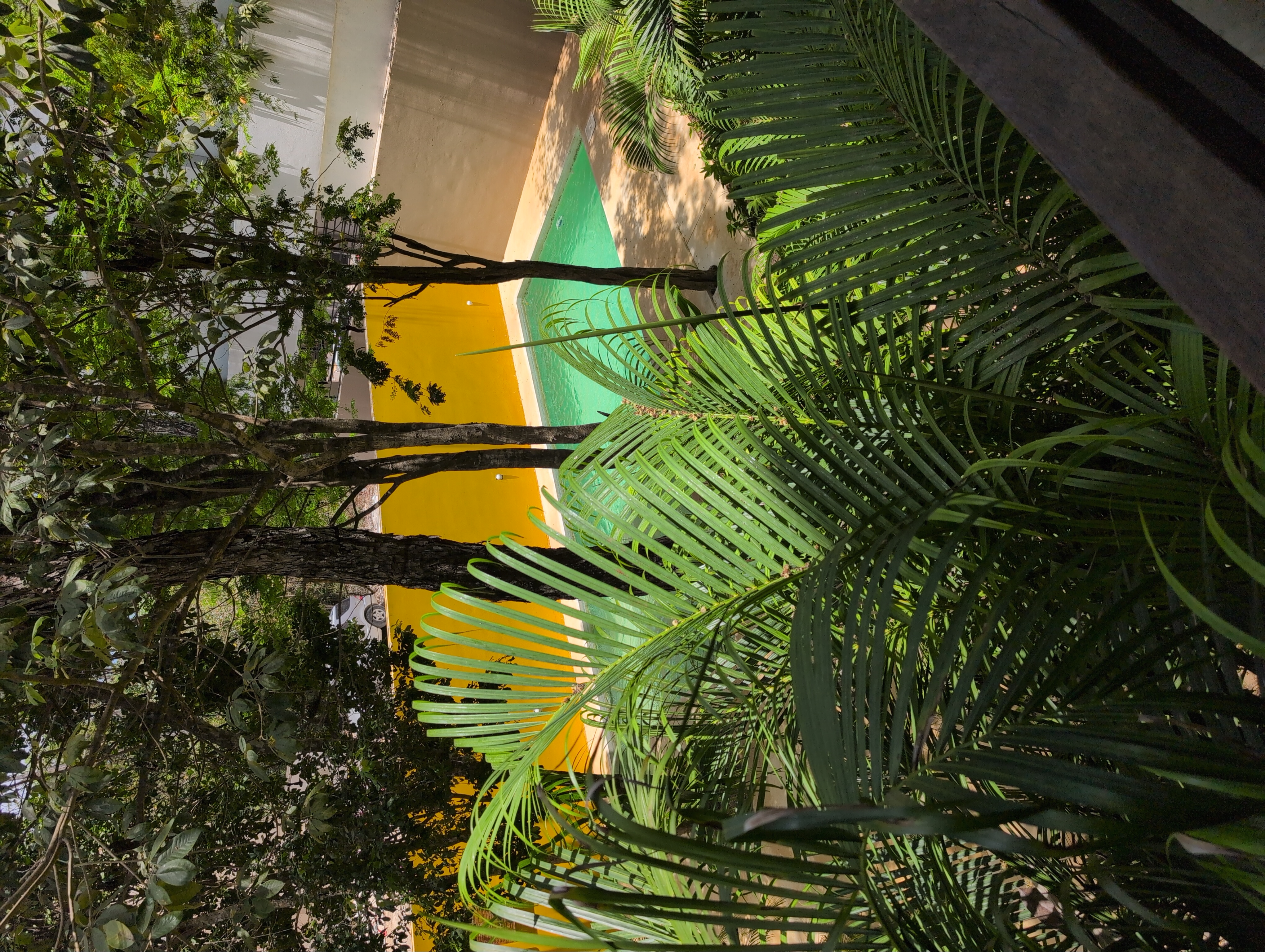 Pool apartment Tulum La Veleta